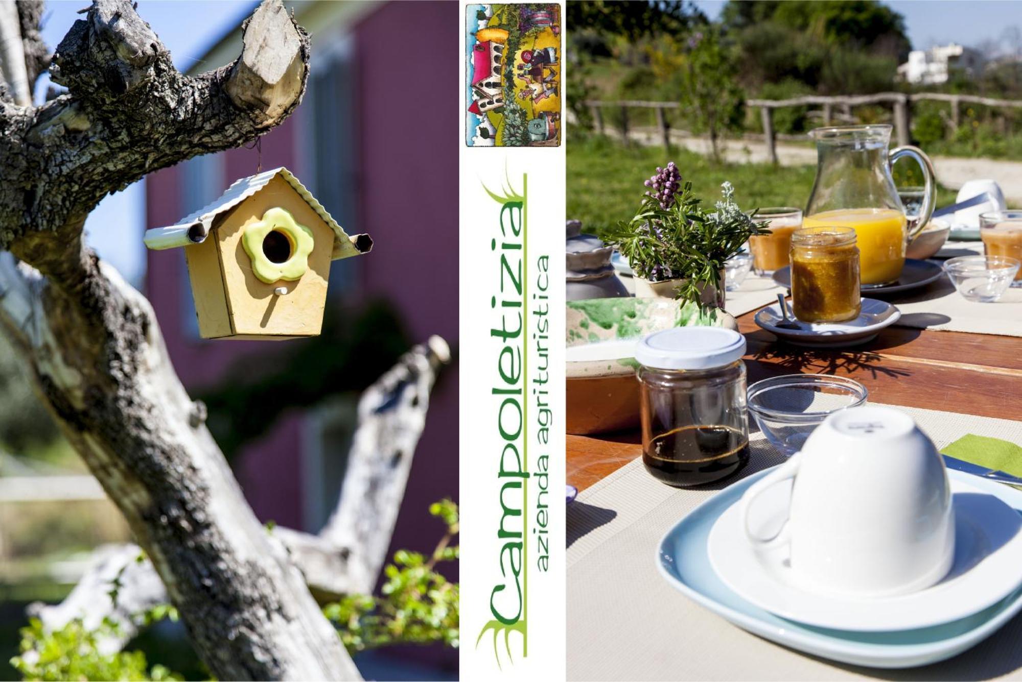 Agriturismo Campoletizia Miglianico المظهر الخارجي الصورة