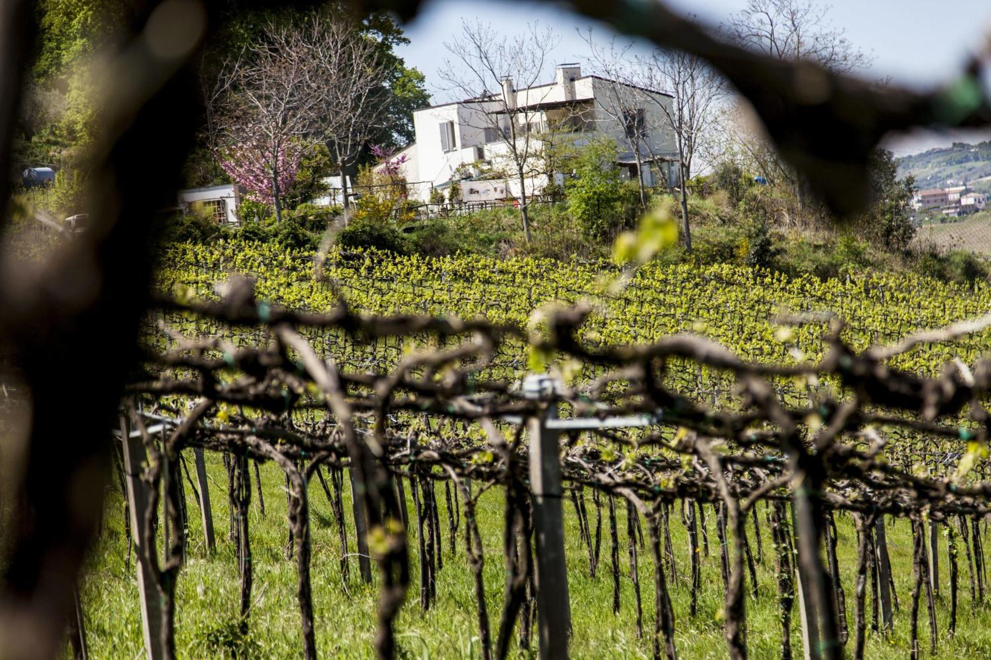 Agriturismo Campoletizia Miglianico المظهر الخارجي الصورة