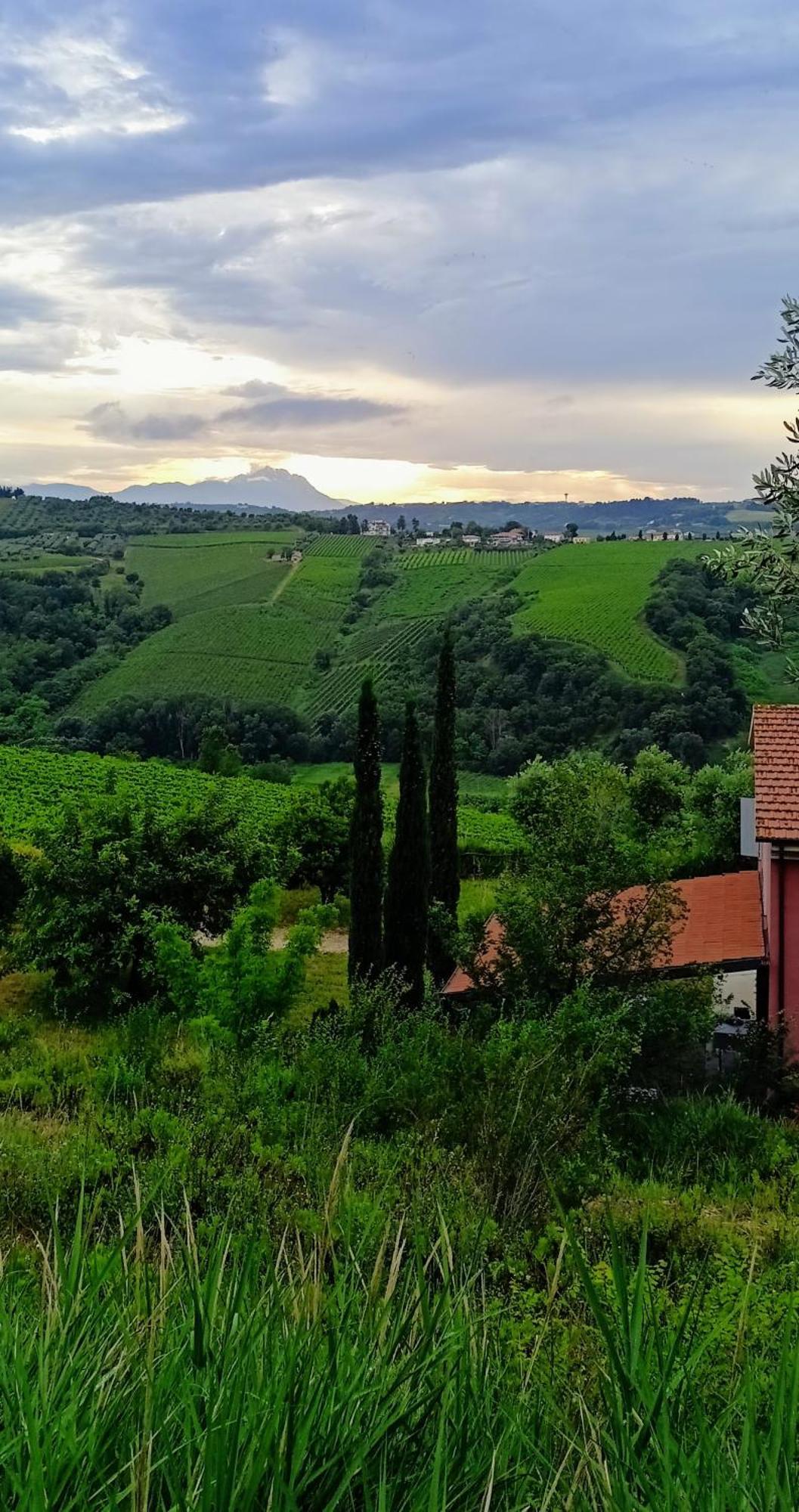 Agriturismo Campoletizia Miglianico المظهر الخارجي الصورة