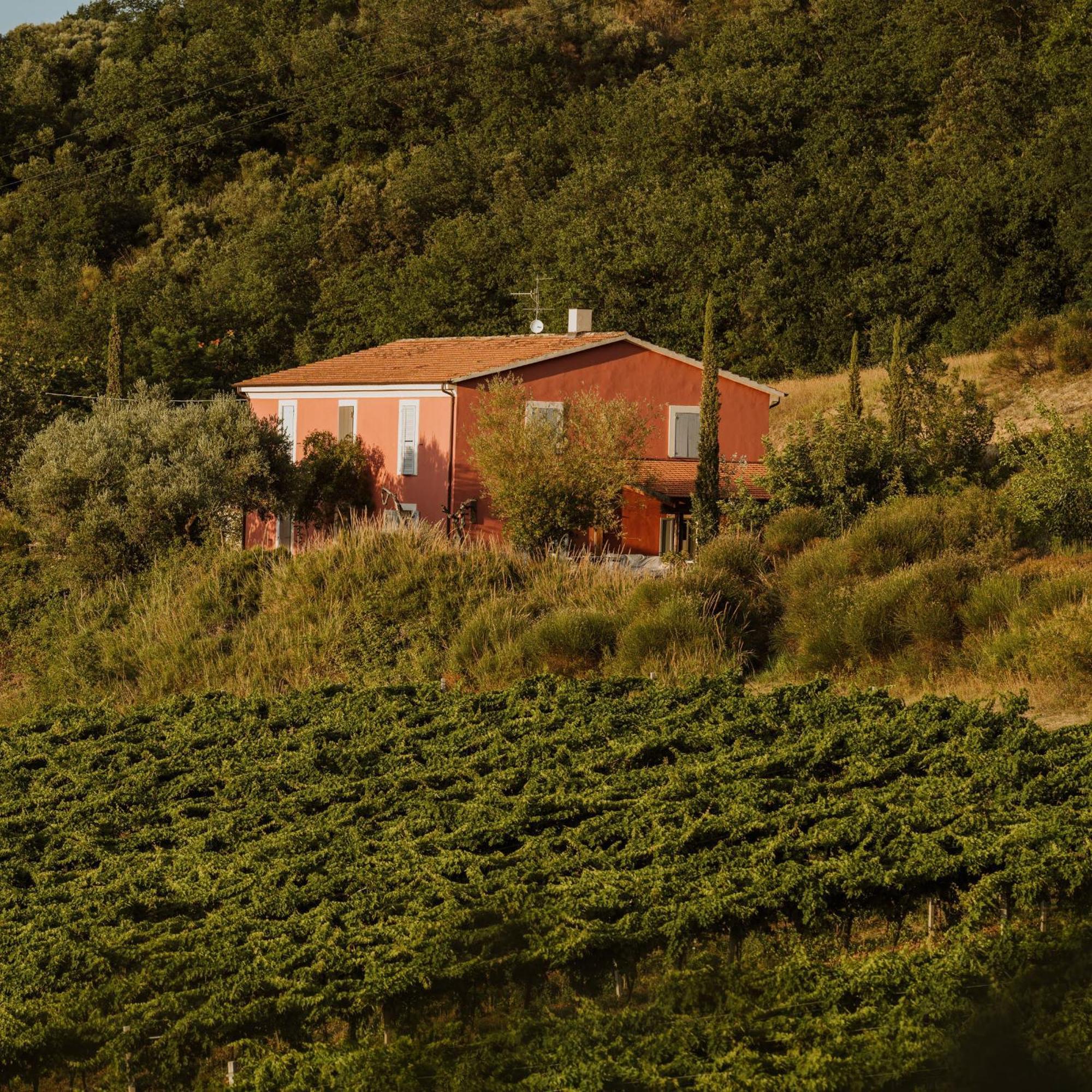 Agriturismo Campoletizia Miglianico المظهر الخارجي الصورة