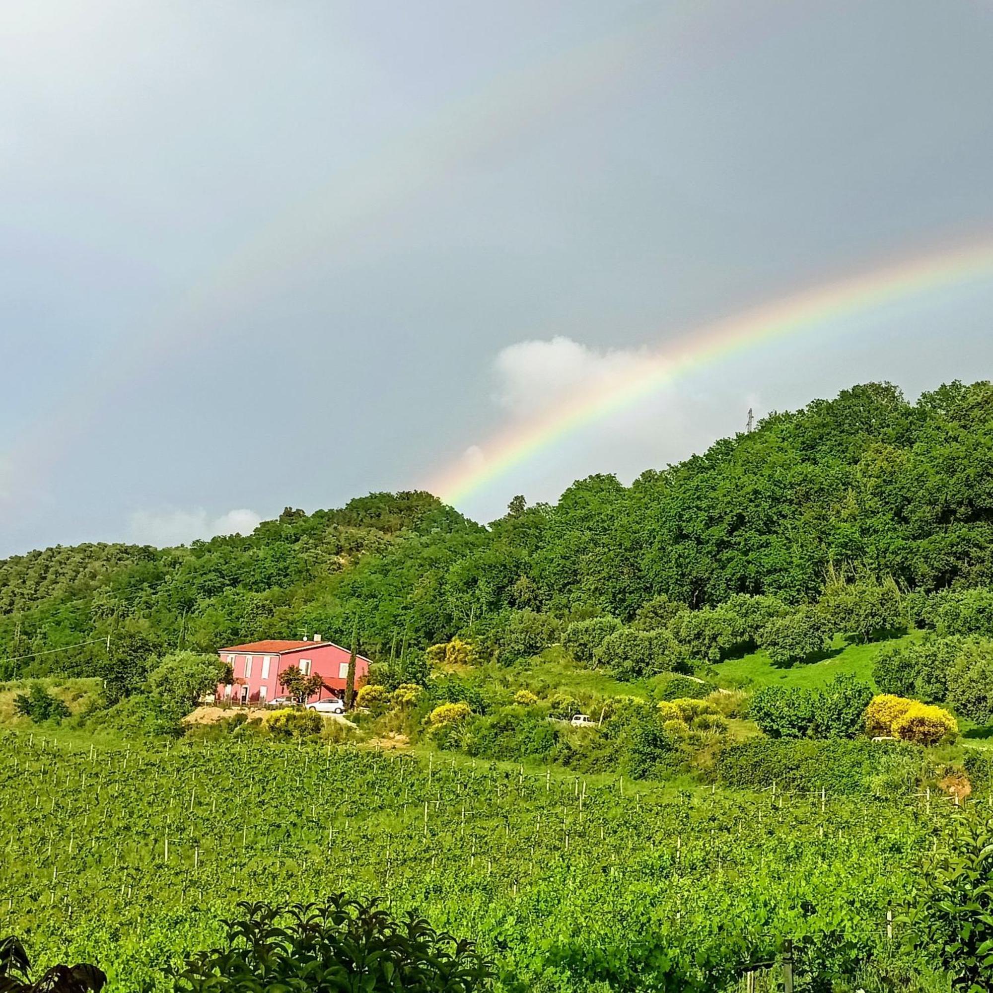 Agriturismo Campoletizia Miglianico المظهر الخارجي الصورة